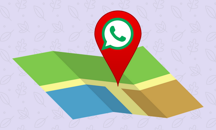 how to share live location whatsapp