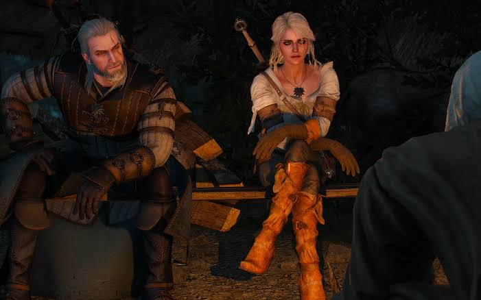 Witcher pc game