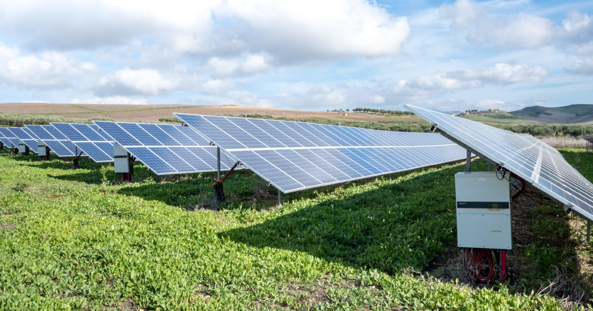 Photovolotaic panels on grass