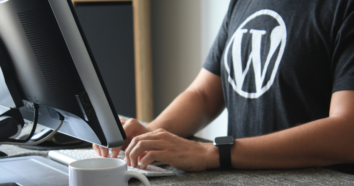 Person with WordPress logo